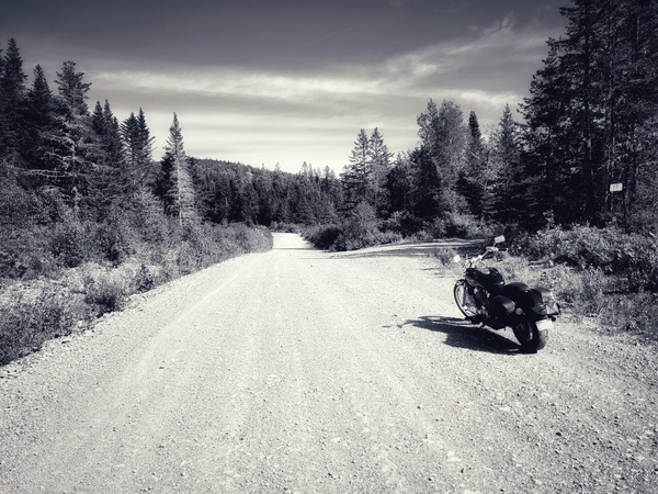 Dirt Rider Print