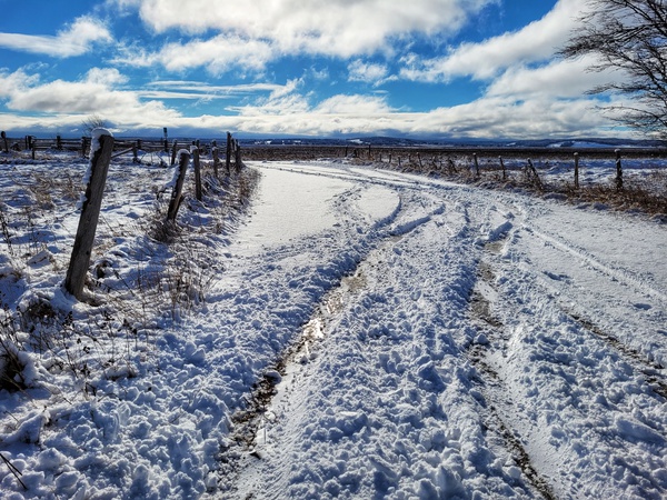 WINTERY ROAD Print
