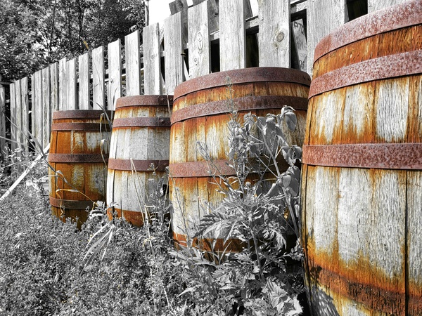 Old Barrels  Print