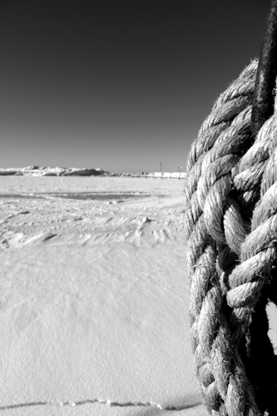 Winter rope Print