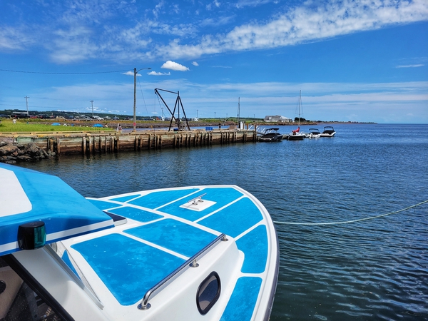 WHARF  Print