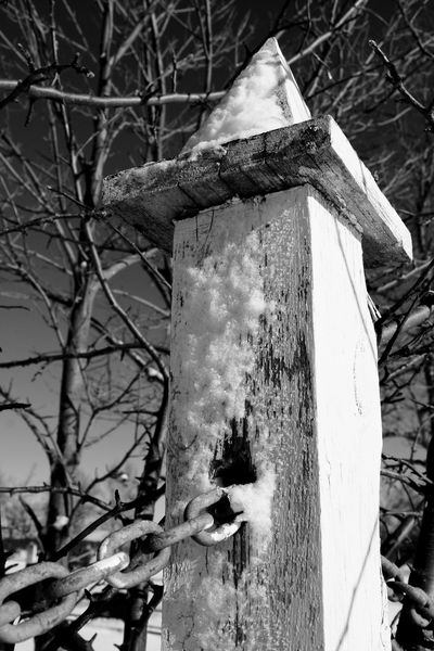 Winter Post Print