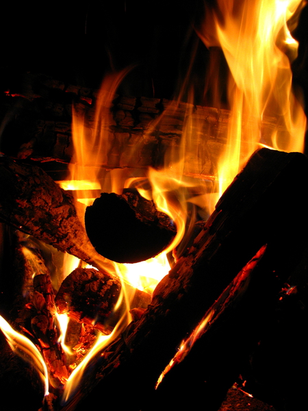Fire Print