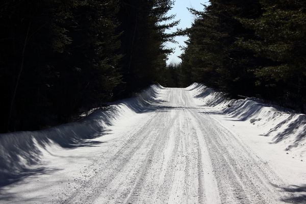 Winter Road Print