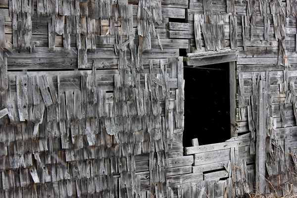 OLD BARN WALL II Print