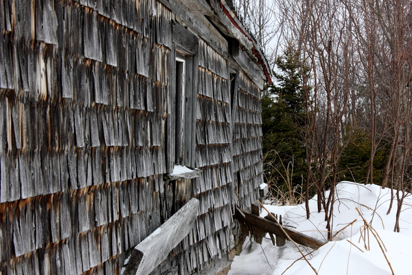 Old barn Print