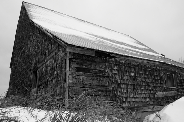 Winter Barn II Print