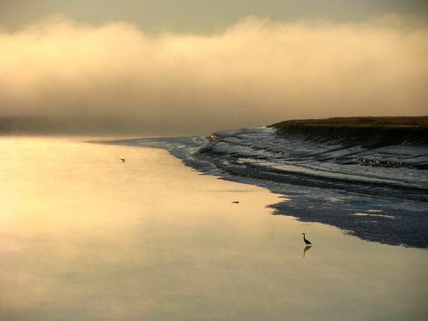 Foggy River Print