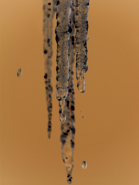 Icicles  Print