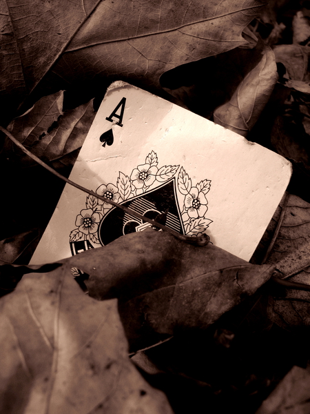 Ace of spades  by Mathieu LeBlanc