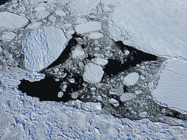 Floating ice Print
