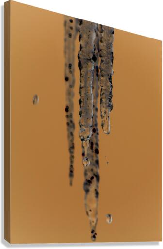 Icicles  Canvas Print