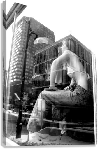 Reflection  Canvas Print