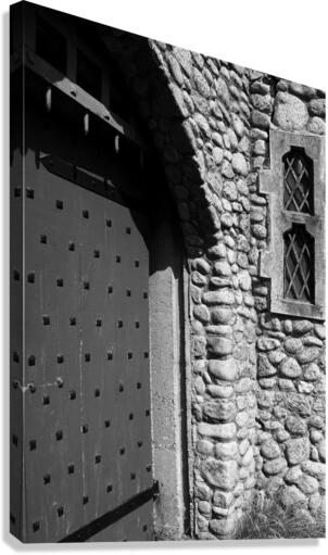 Castle Canvas Print