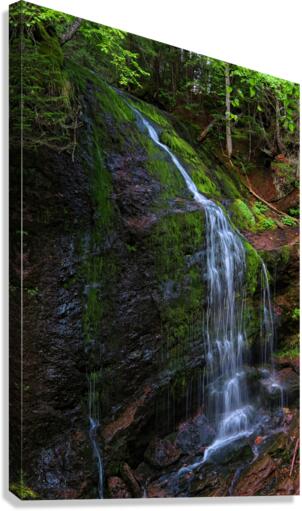 Waterfall Canvas Print