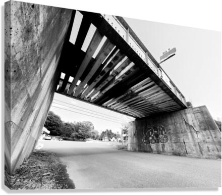 Train Bridge R Canvas Print