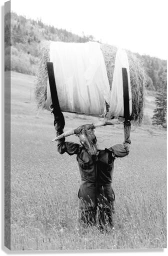 Bully Canvas Print