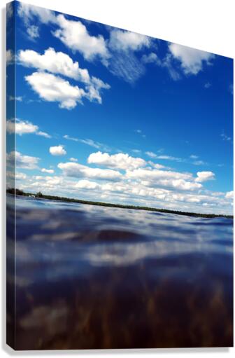 SWIM Canvas Print
