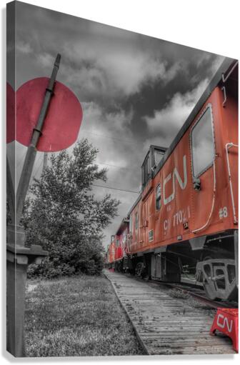 TRAIN Canvas Print
