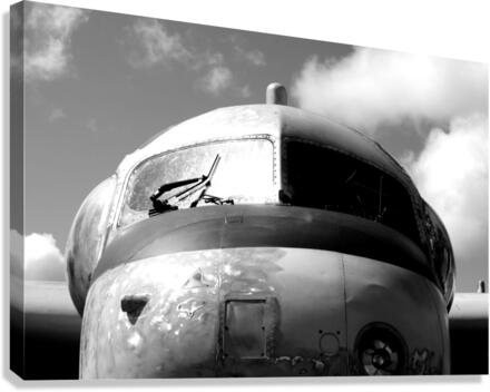Plane Canvas Print