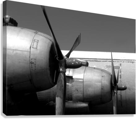 Propellers Canvas Print
