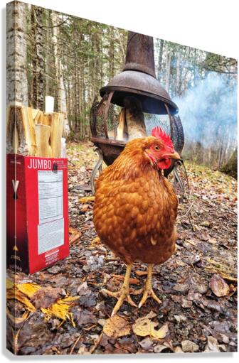Hot Chick Canvas Print