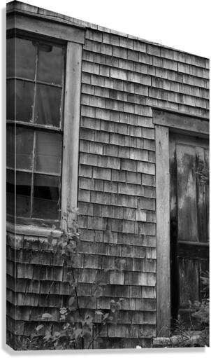 DOOR AND WINDOW Canvas Print