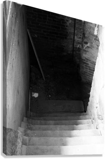 DOWNSTAIRS Canvas Print