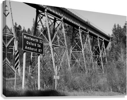 TRAIN BRIDGE Canvas Print