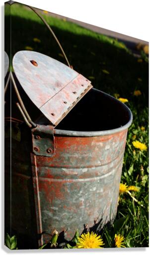 LID OPEN  Canvas Print