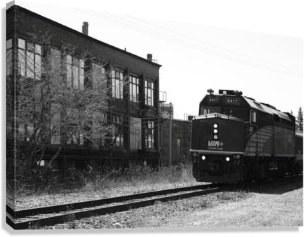 CITY TRAIN Canvas Print