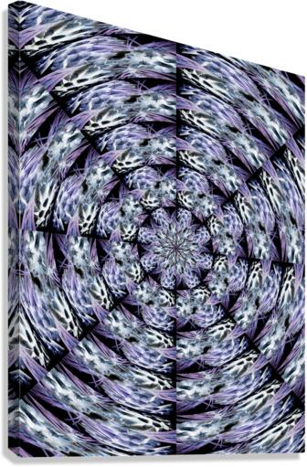 Trippy III Canvas Print