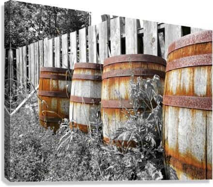 Old Barrels  Canvas Print