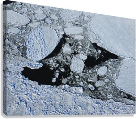 Floating ice Canvas Print