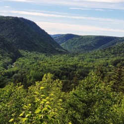 Mountaineer