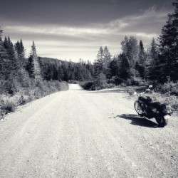 Dirt Rider