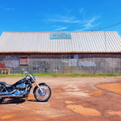 Bike and shed