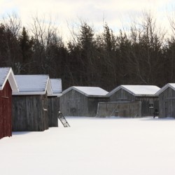 Sheds