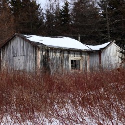 Rustic Winter