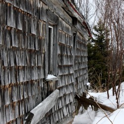 Old barn