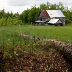 COUNTRY LIFE
