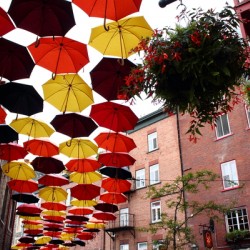 Umbrellas