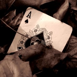 Ace of spades 