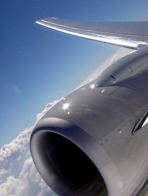 119   In Plane View
