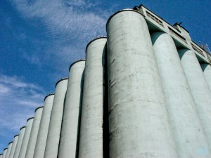 135   Pillars of Social Security
