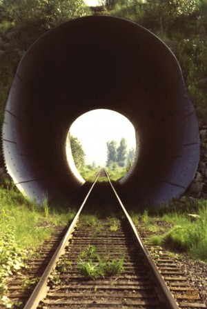 195    Tunnel Vision