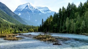 207    Canadian Wilderness
