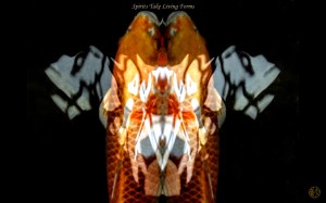 259    Spirits Take Living Forms