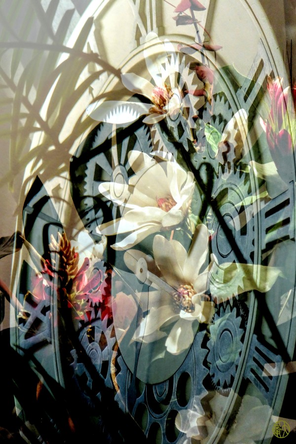 150    Flower Time Print