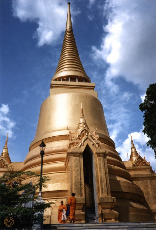 249    Chedi Print